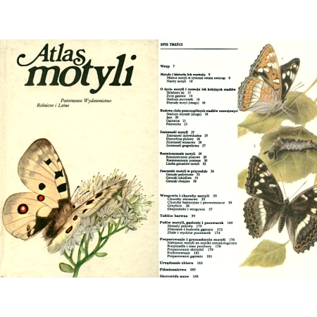 ATLAS MOTYLI