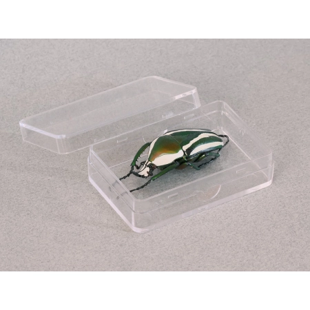 PUDEŁKO PLASTIKOWE OZDOBNE 5,7/3,8/1,6cm