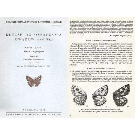 KLUCZE DO OZNACZANIA OWADÓW - POWSZELATKI - HESPERIIDAE