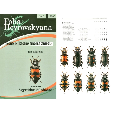 AGYRTIDAE, SILPHIDAE