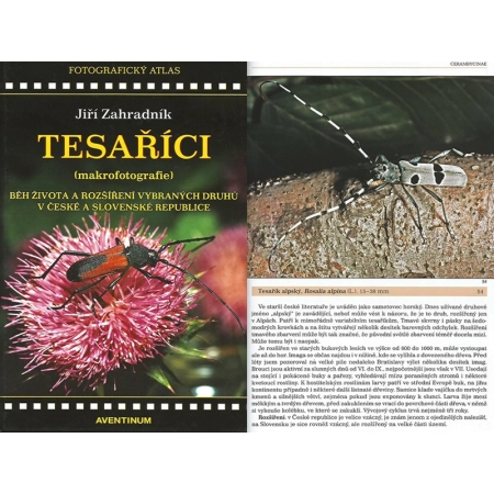 TESARICI MAKROFOTOGRAFIE - KÓZKOWATE