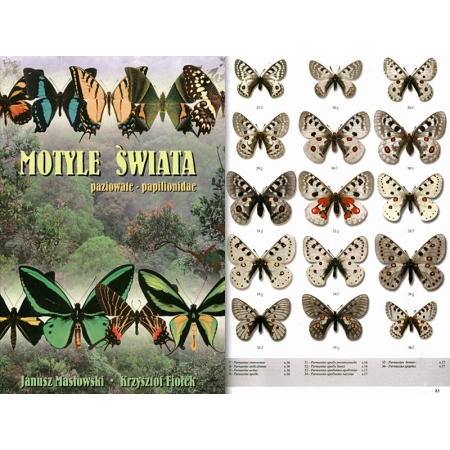 MOTYLE ŚWIATA - PAZIOWATE - PAPILIONIDAE