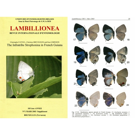 THE INFRATRIBE STREPHONINA IN FRENCH GUIANA