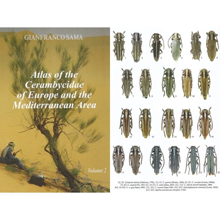 ATLAS OF THE CERAMBYCIDAE OF EUROPE AND THE MEDITERRANEAN AREA