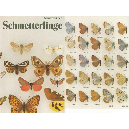 SCHMETTERLINGE
