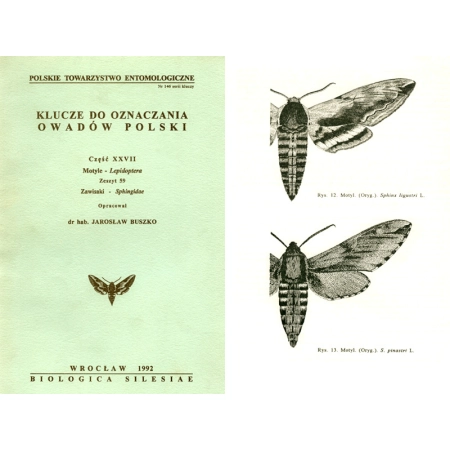 KLUCZE DO OZNACZANIA OWADÓW - ZAWISAKI - SPHINGIDAE