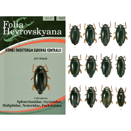 SPHAERIUSIDAE, GYRINIDAE, HALIPLIDAE, NOTERIDAE, PAELOBIIDAE